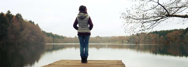 web, lake, forest-4642668.jpg