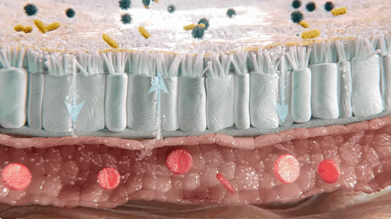 Der Schutzschild für den Darm: Symptome des Reizdarms gezielt lindern mit GAVIDarm